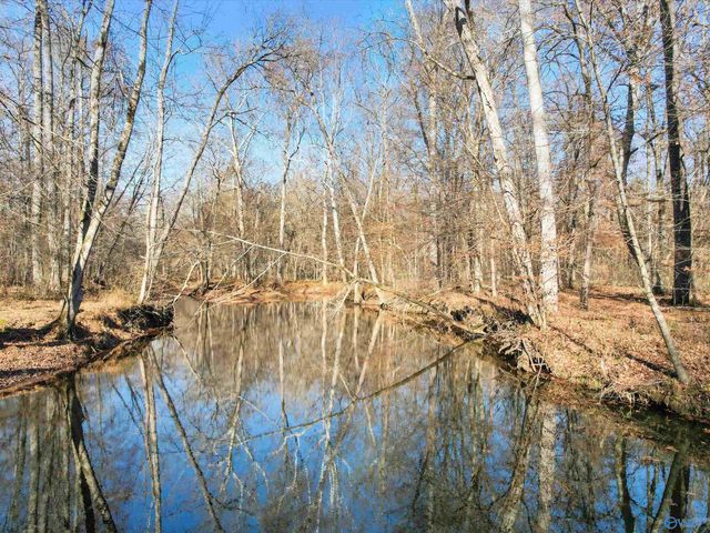 343 Mccutcheon Lane, Toney, AL 35773