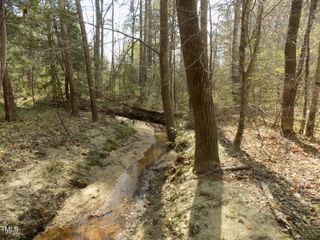 0 Peg Williams Road, Warrenton, NC 27589