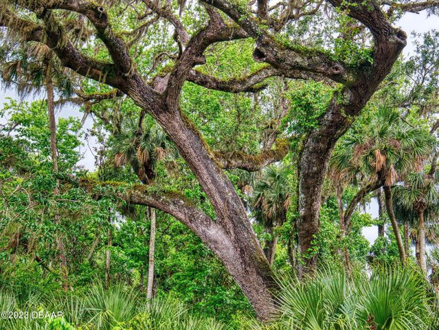 2329 Legacy Lane, New Smyrna Beach, FL 32168