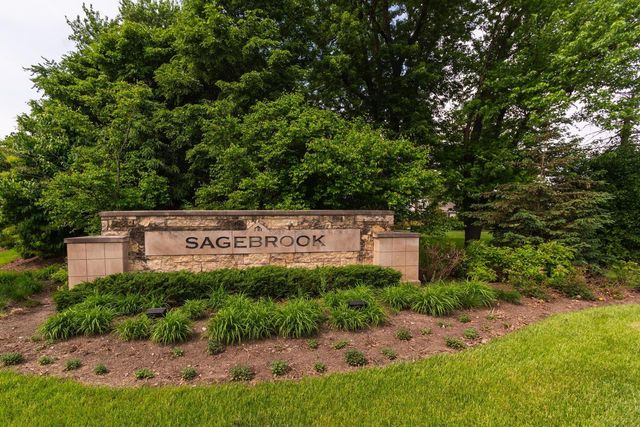 16134 W Coneflower Drive, Lockport, IL 60441