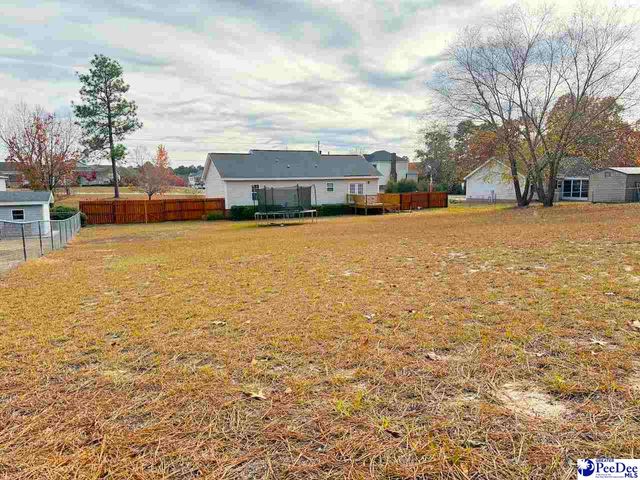 920 Fox Hollow Dr, Hartsville, SC 29550