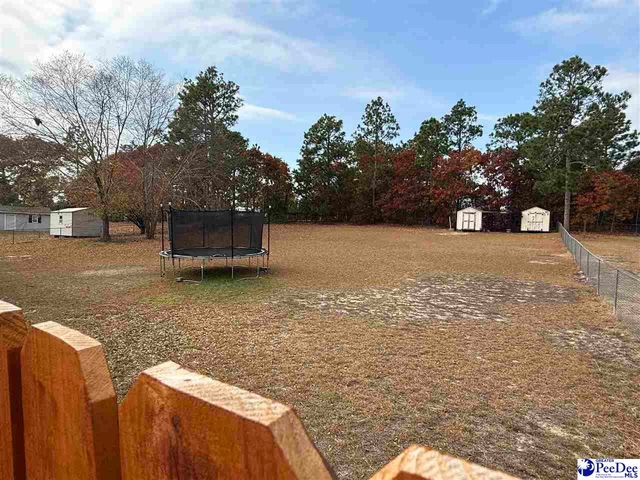 920 Fox Hollow Dr, Hartsville, SC 29550