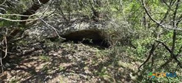 2209 Whitewater Drive, Bertram, TX 78605