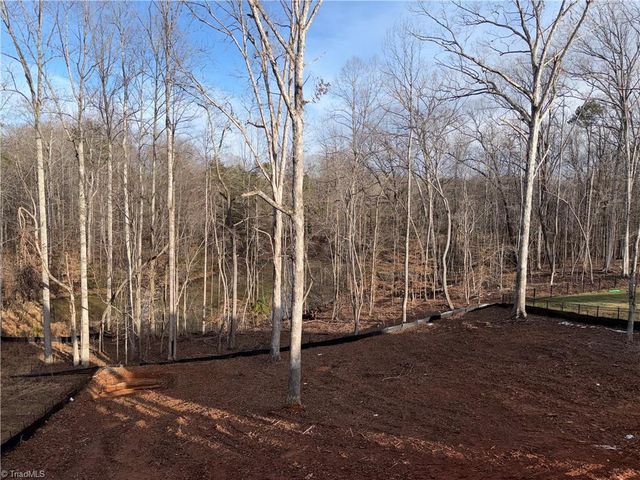 8730 Atlas Heights Way, Lewisville, NC 27023