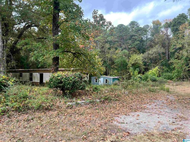 725 CARL RAINES LAKE ROAD, Hoover, AL 35244