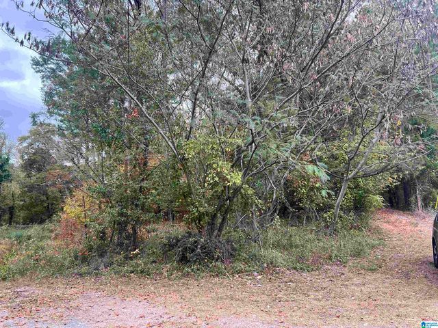 725 CARL RAINES LAKE ROAD, Hoover, AL 35244