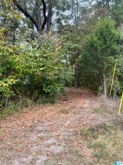 725 CARL RAINES LAKE ROAD, Hoover, AL 35244