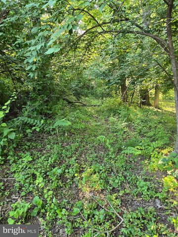 0 S MOUNTAIN RD, Dillsburg, PA 17019