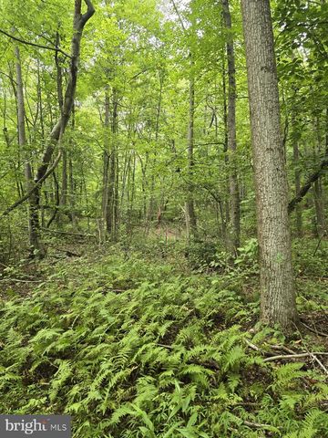 0 S MOUNTAIN RD, Dillsburg, PA 17019