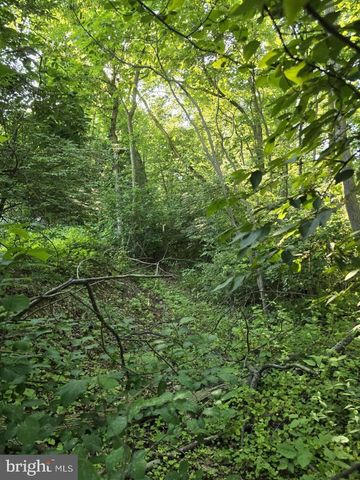 0 S MOUNTAIN RD, Dillsburg, PA 17019