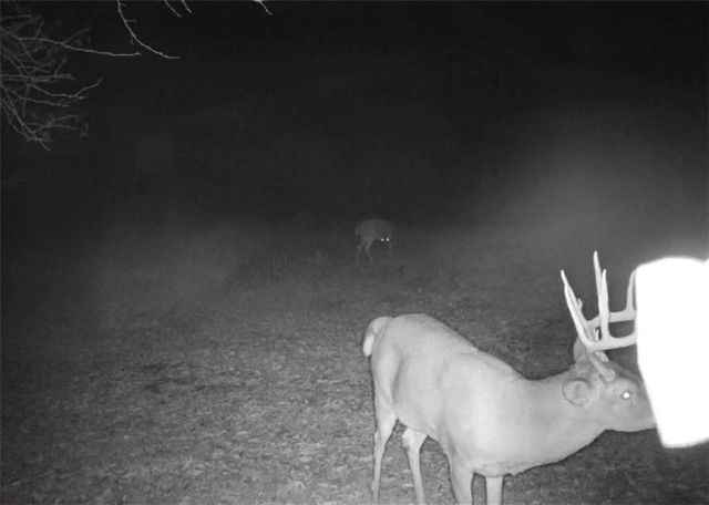 2107 S Outer Belt Road, Oak Grove, MO 64075