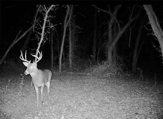 2107 S Outer Belt Road, Oak Grove, MO 64075