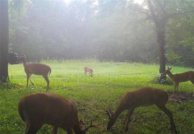 2107 S Outer Belt Road, Oak Grove, MO 64075