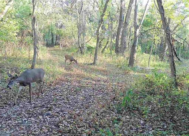 2107 S Outer Belt Road, Oak Grove, MO 64075