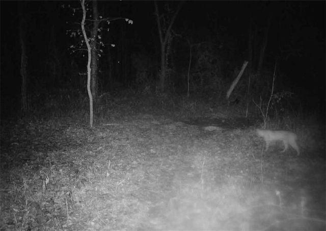 2107 S Outer Belt Road, Oak Grove, MO 64075