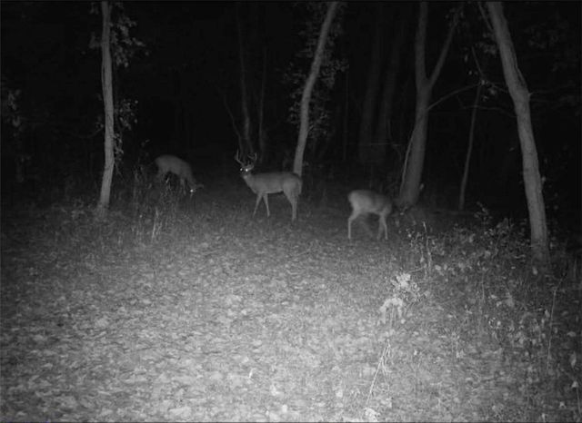 2107 S Outer Belt Road, Oak Grove, MO 64075