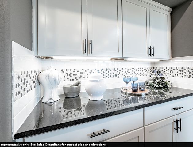 1419 Diamond Drive, St Paul, TX 75098