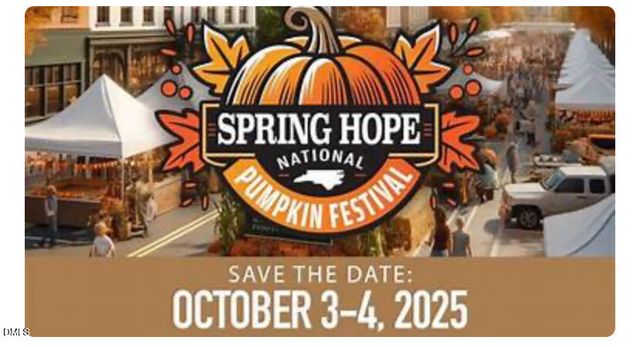 207 N Hopkins Avenue, Spring Hope, NC 27882