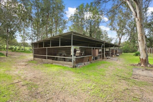 823 Rice Canyon Rd, Fallbrook, CA 92028