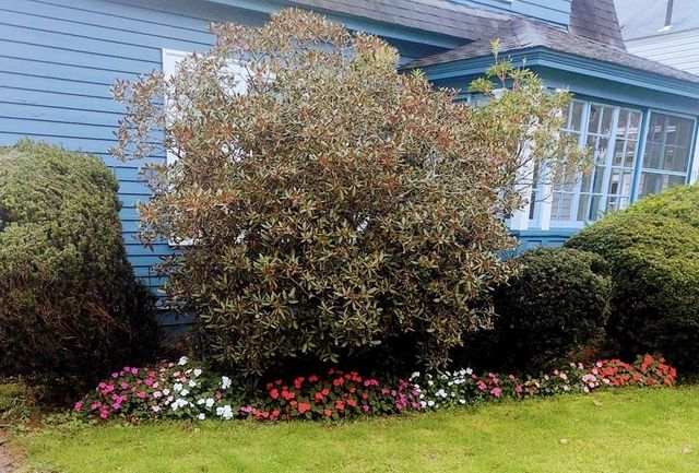 31 Barnard Rd, Worcester, MA 01605