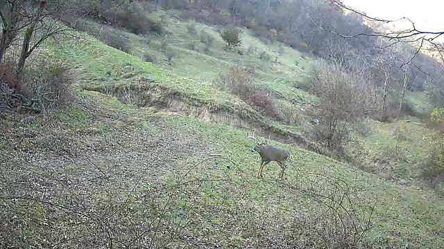 351 ACRES COUNTY ROAD S, Boscobel, WI 53805