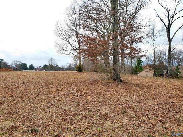 123 County Road 55, Rogersville, AL 35652