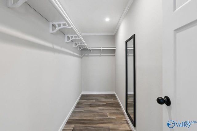 123 County Road 55, Rogersville, AL 35652