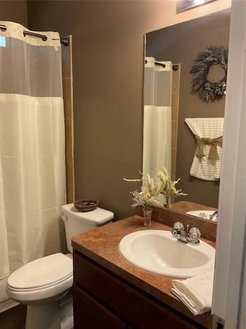11363 Burning Tree Drive, Montgomery, TX 77356