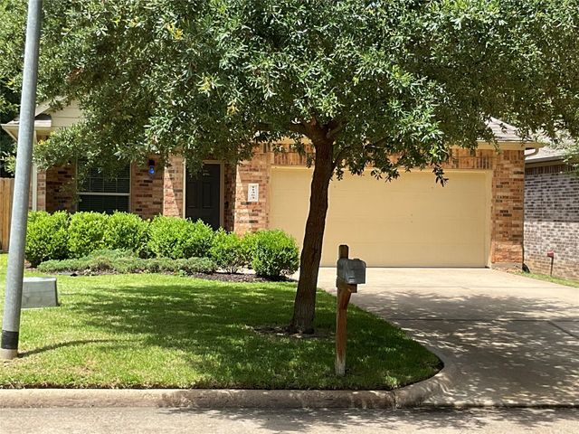 11363 Burning Tree Drive, Montgomery, TX 77356