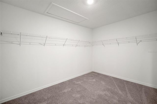 16649 CARLTON POND STREET, Wimauma, FL 33598