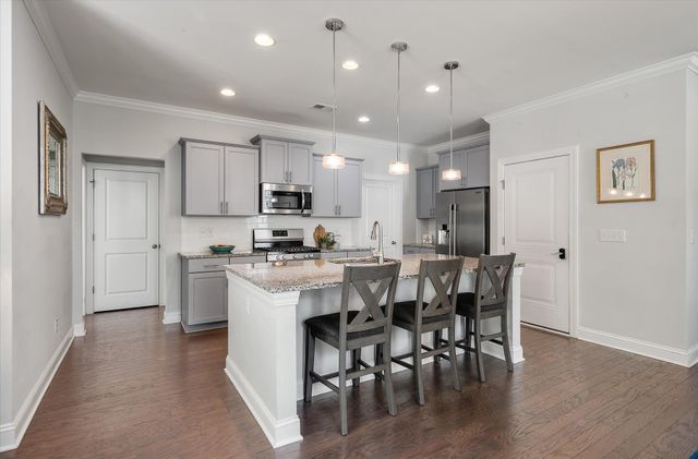 1602 Mermentau Street, Mount Pleasant, SC 29466