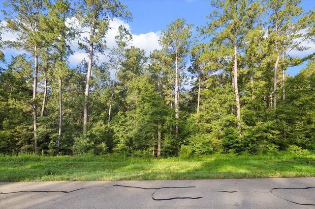 00 Sandpiper Drive, New Waverly, TX 77358