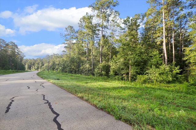 00 Sandpiper Drive, New Waverly, TX 77358