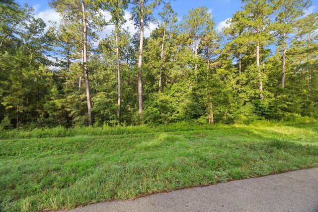 00 Sandpiper Drive, New Waverly, TX 77358