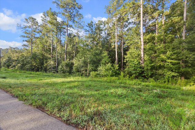 00 Sandpiper Drive, New Waverly, TX 77358
