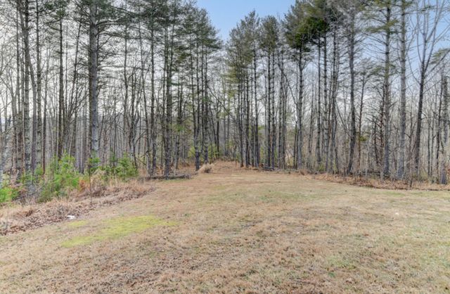 223 Cahas Mountain RD, Boones Mill, VA 24065