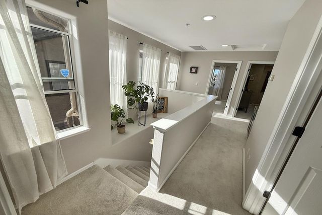 3224 Vinifera Drive, San Jose, CA 95135