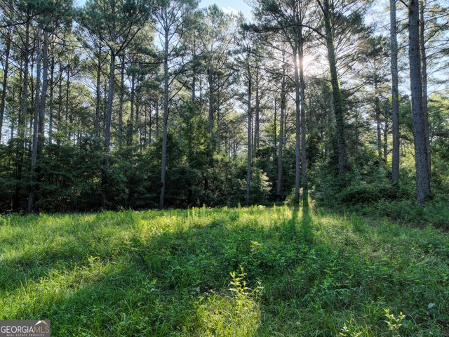 4829 Yatesville Highway, Thomaston, GA 30286