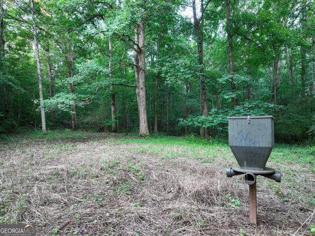 4829 Yatesville Highway, Thomaston, GA 30286