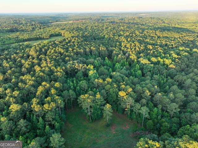 4829 Yatesville Highway, Thomaston, GA 30286