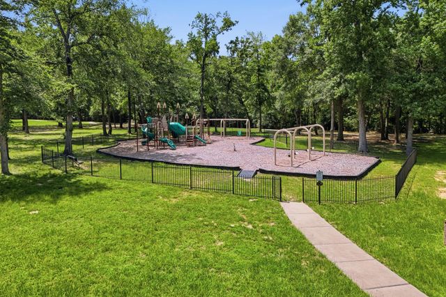 11612 Princess Ann Court, Montgomery, TX 77316