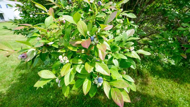 457 Gates Road, Mount Holly, VT 05758