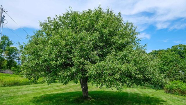 457 Gates Road, Mount Holly, VT 05758
