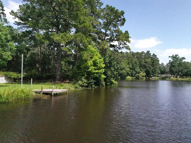 18755 Mink Lake Drive, Magnolia, TX 77355