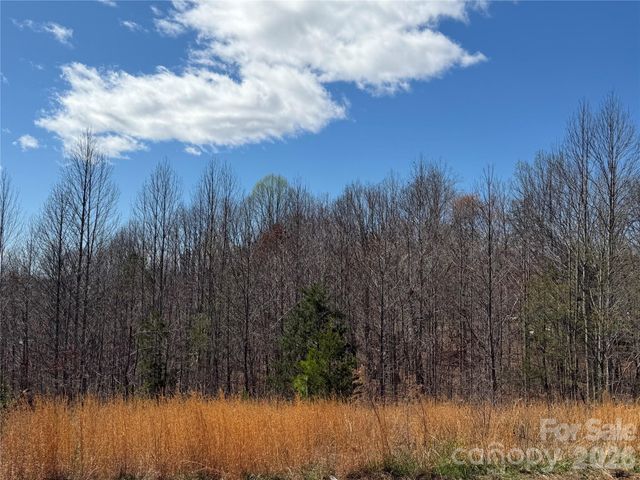 304 Woodview Farm Trail, Rutherfordton, NC 28139