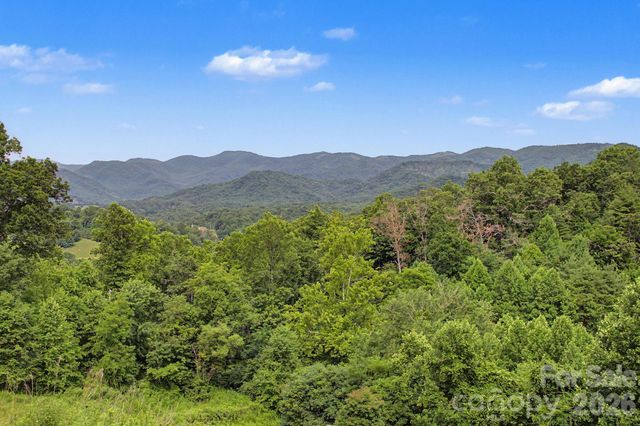 340 Earlys Mountain Road, Leicester, NC 28748