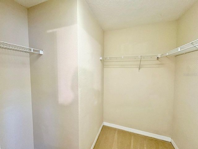 11839 CASTINE STREET, New Port Richey, FL 34654