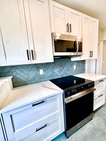 169 W Brookline Street PH, Boston, MA 02118