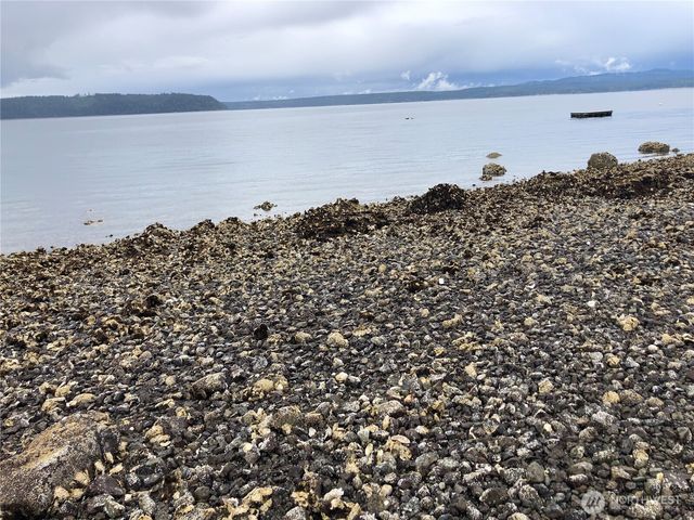 791 Seal Rock Road, Brinnon, WA 98320