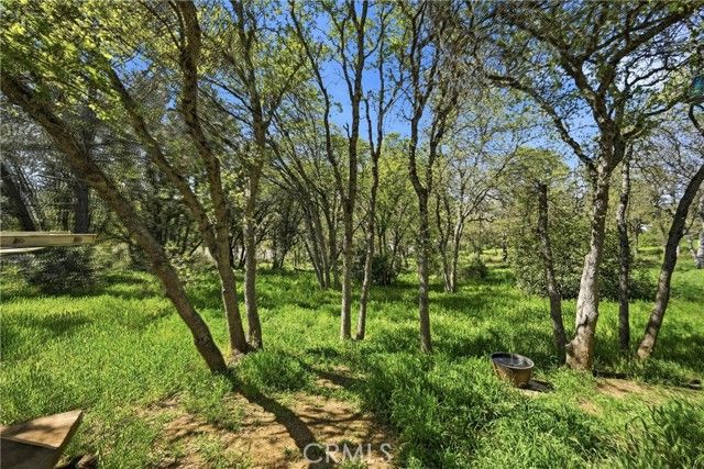 15560 20th Avenue, Clearlake, CA 95422